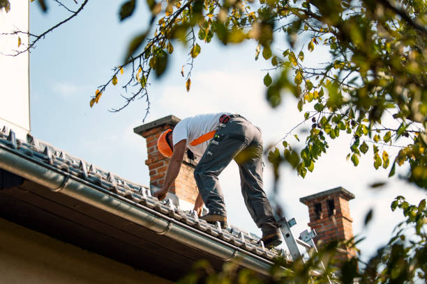Best Gutter Installation and Roofing  in Pacifi, CA