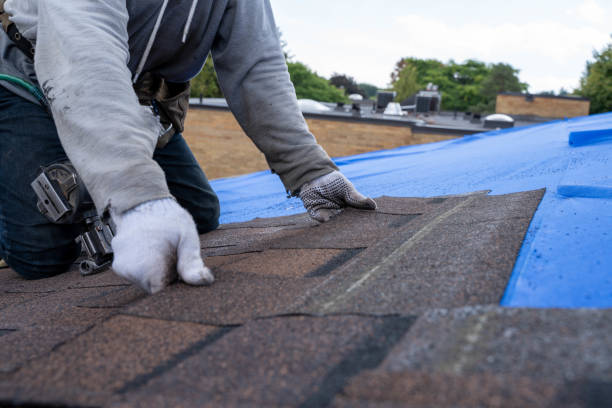 Best Sealant for Roof  in Pacifi, CA
