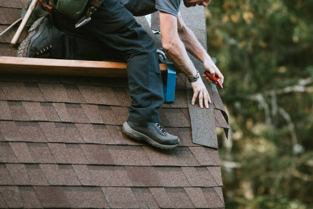 Best Roof Gutter Cleaning  in Pacifi, CA